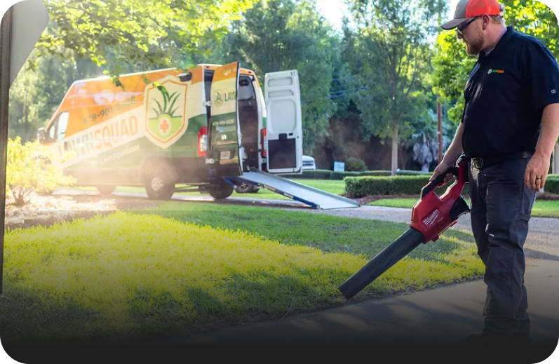 Landscaping & Lawn Care